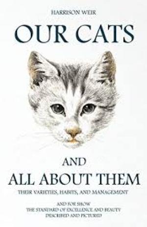 Our Cats and All About Them